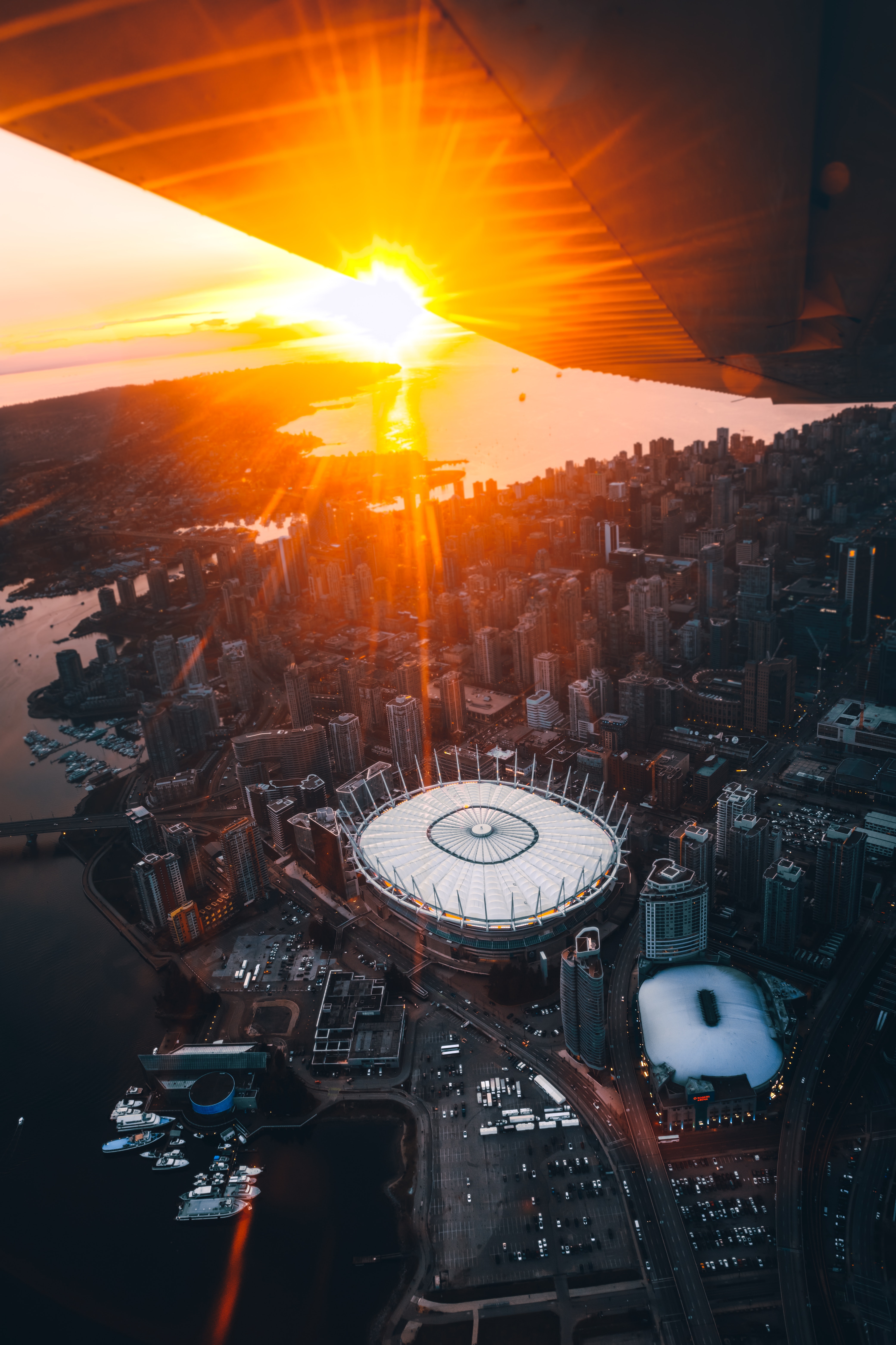 pexels-brayden-law-2059661 pexels-brayden-law-2059661