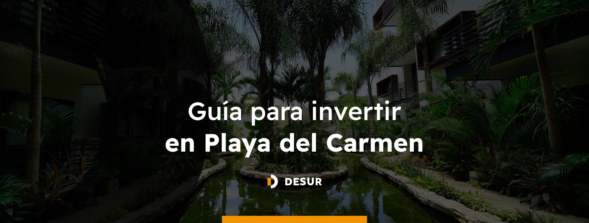 invertir-en-playa-del-carmen-desur invertir-en-playa-del-carmen-desur