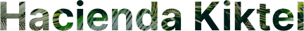 Logo de hacienda kikteil